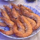 완도산회 송파 별관 | [완도산회 송파별관] 석촌 송리단길 횟집 대방어 맛집 방문후기
