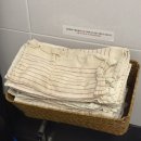 발한로 | [동해/묵호] 미감 미쳐버린 묵호 갬성 티하우스 도야하우스 내돈내산 후기