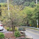 공주네펜션 이미지