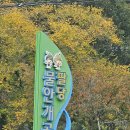귀여리물안개공원자전거대여소 이미지