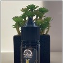 군산전자담배 갓베이프 이미지