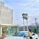 BMW 3시리즈 차량용품 추천 (아쿠아디파르마 차량용 방향제, 트렁크 정리함, 주차번호판, 키케이스...