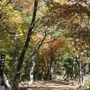 노작공원(노인공원) 이미지