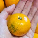 신 하나농장 이미지