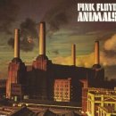 사우스 오아시스 | [오아시스50일영국투어] 재결합 첫 공연 후기 live&#39;25 oasis @카디프(25.7.1~5)