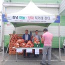 양파마켓 이미지