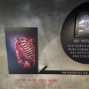 서해쭈꾸미 - 영등포구 여의도동 | [청량리맛집] 독보적인 숙성 고기, 최원석의돼지한판&서해쭈꾸미 시립대점 솔직 후기!