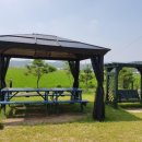 엠엔케이 이미지