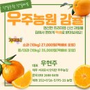 안정농장 | 제주 감귤 판매 서귀포 산지직송 노지 감귤 택배 우주농장 후기