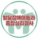 [발달장애아동과 종합심리검사]발달장애,지적장애,자폐스펙트럼,아동심리상담,심리검사,대치동,한국아동청소년심리상담센터 이미지