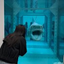 이번주 마지막! 국립현대미술관 데미안허스트 전시 서울 후기