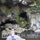 샘과 그늘 이미지