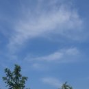 신경남 | 제9기 대학생 기후변화 아카데미 현장인터뷰 3조 - 녹색기술센터 신경남 연구기술 선임부장님