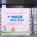 천사(1004) 이미지