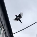 제타트레이닝 | [ 2026 기록 ]40대 겨울 살아가는 일상