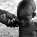 가봉목장 이미지