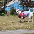 꽁지펜션 이미지