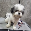 댕스살롱 이미지