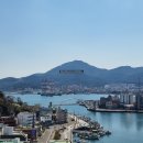 강아지마을 이미지