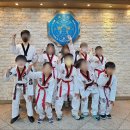 경희대 최강 MTA 태권도 이미지