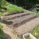 일구농장3 이미지