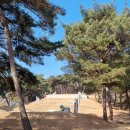 전주이씨 삼효 정려 | 충남 세종시 전주이씨 삼효 정려