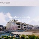 웰리스 복싱클럽 이미지