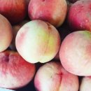 서대리농장 이미지