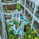 카페포레스트 이미지