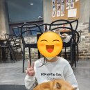 똥강아지애견 이미지