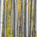 영산사우나 이미지