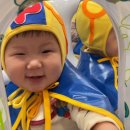 딩동댕 플레이 키즈스쿨(8~14개월) 이미지