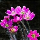 예향펜션 이미지