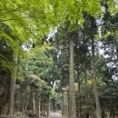 걷다보니 | [제주 서귀포] 부모님과 걷기 좋았던 숲길🌿 서귀포 치유의 숲 내돈내산 후기