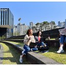 신영세탁 이미지