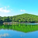 신선지낚시터 이미지