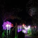 솔동산로 이미지