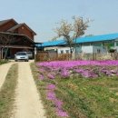 우산농장 이미지