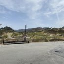 한맥CC & 노블리아 | 한맥cc&amp;노블리아 라운드 후기(4월1일, 벚꽃만개)