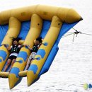 아싸가오리 이미지