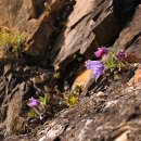 제장민박 이미지