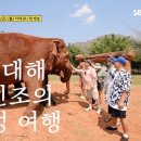 브로씨앤씨 이미지