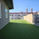 부산애견호텔 댕스스쿨 이미지