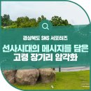 영천 보성리 암각화 | 선사시대의 메시지를 담은 고령 장기리 암각화