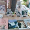 똘이서점