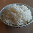 좋은 음식을 만드는 사람들 이미지