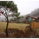 앤조경 이미지