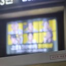 소극장고도 | 251021 고도를 기다리며를 기다리며 관람 후기 (박근형 최민호)