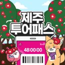 딩가댕댕 | 제주 투어패스 72시간 프리패스권 겨울방학 특가 이용 모음 _ 가격 예약 꿀팁 환불 정보