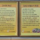 낭낭오리집돌산점